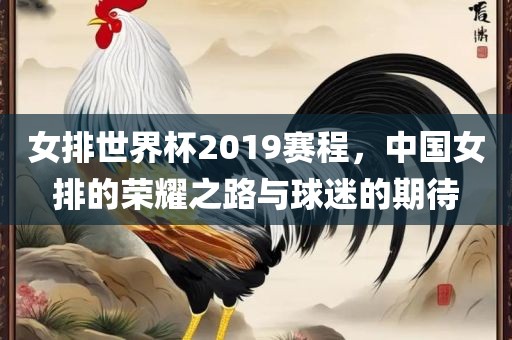 女排世界杯2019赛程，中国女排的荣耀之路与球迷的期待