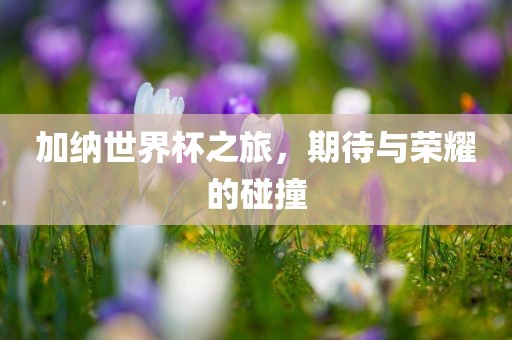 加纳世界杯之旅，期待与荣耀的碰撞