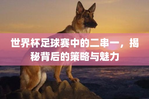 世界杯足球赛中的二串一，揭秘背后的策略与魅力吉安市靖泰电力工程有限公司
