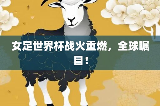 女足世界杯战火重燃，全球瞩目！吉安市靖泰电力工程有限公司