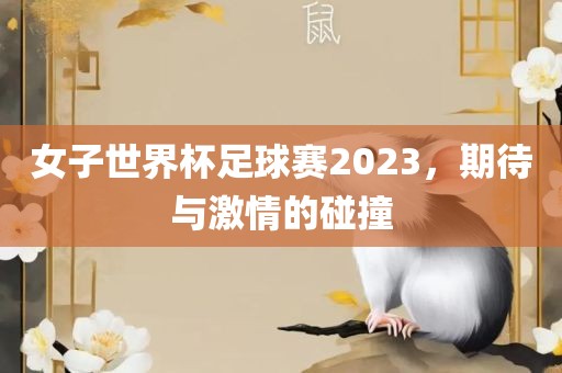 女子世界杯足球赛2023，期待与激情的碰撞吉安市靖泰电力工程有限公司