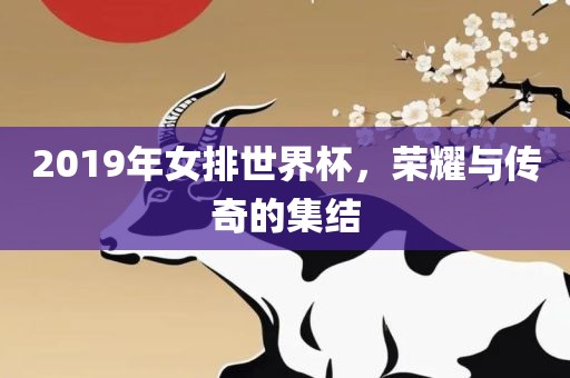 2019年女排世界杯，荣耀与传奇的集结吉安市靖泰电力工程有限公司