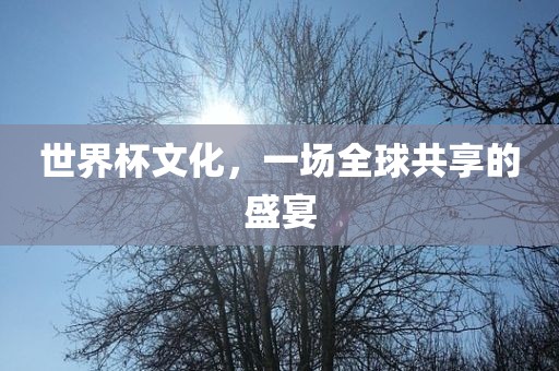世界杯文化，一场全球共享的盛宴