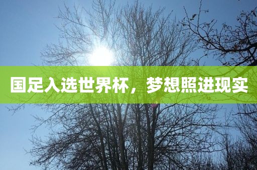 国足入选世界杯，梦想照进现实