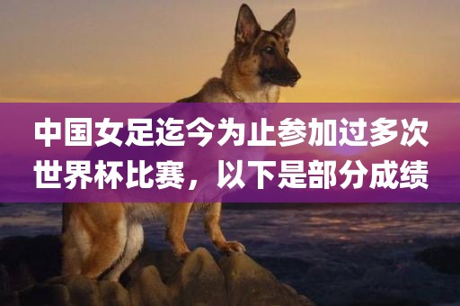 中国女足迄今为止参加过多次世界杯比赛，以下是部分成绩