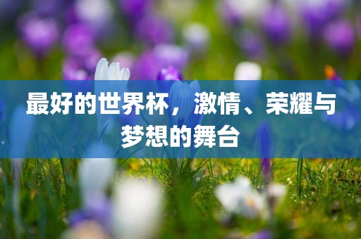 最好的世界杯，激情、荣耀与梦想的舞台吉安市靖泰电力工程有限公司