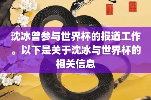 沈冰曾参与世界杯的报道工作。以下是关于沈冰与世界杯的相关信息