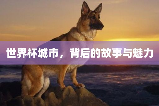世界杯城市，背后的故事与魅力