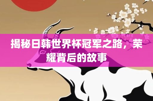 揭秘日韩世界杯冠军之路，荣耀背后的故事