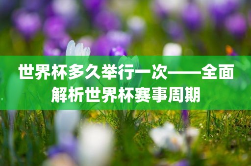 世界杯多久举行一次——全面解析世界杯赛事周期吉安市靖泰电力工程有限公司