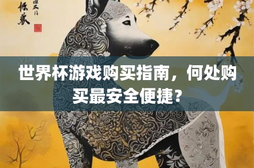 世界杯游戏购买指南，何处购买最安全便捷？