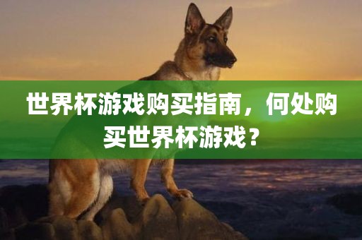 世界杯游戏购买指南，何处购买世界杯游戏？