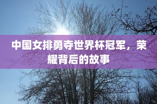 中国女排勇夺世界杯冠军，荣耀背后的故事吉安市靖泰电力工程有限公司