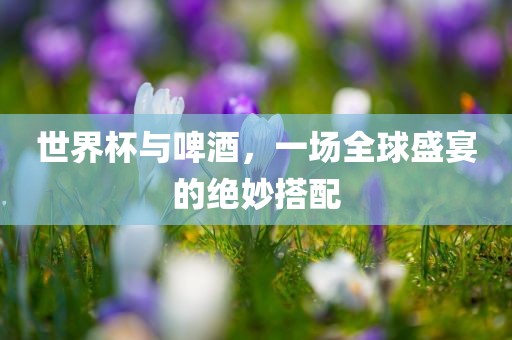 世界杯与啤酒吉安市靖泰电力工程有限公司，一场全球盛宴的绝妙搭配