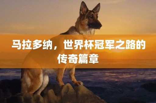 马拉多纳，世界杯冠军之路的传奇篇章