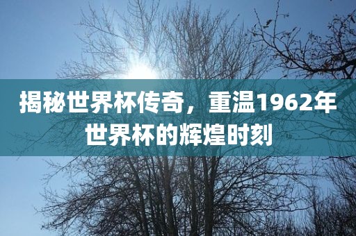揭秘世界杯传奇，重温1962年世界杯的辉煌时刻吉安市靖泰电力工程有限公司
