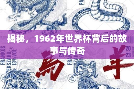 揭秘，1962年世界杯背后的故事与传奇吉安市靖泰电力工程有限公司