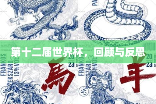 第十二届世界杯，回顾与反思