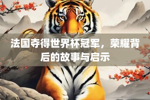 法国夺得世界杯冠军，荣耀背后的故事与启示