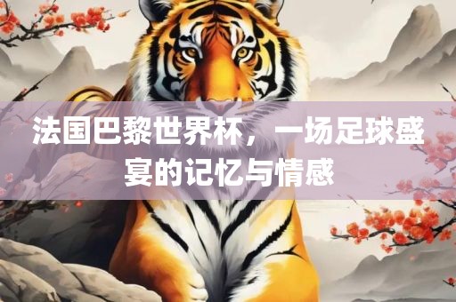 法国巴黎世界杯，一场足球盛宴的记忆与情感吉安市靖泰电力工程有限公司
