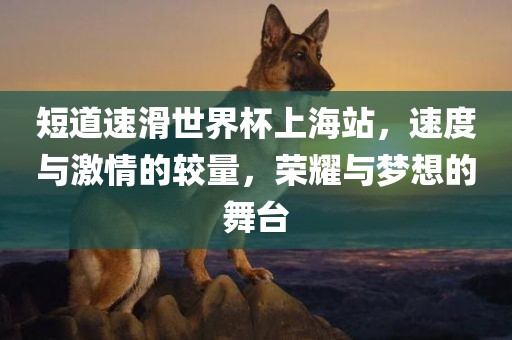 短道速滑世界杯上海站，速度与激情的较量，荣耀与梦想的舞台