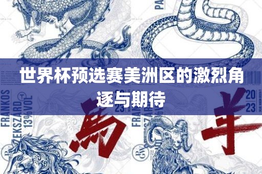 世界杯预选赛美洲区的激烈角逐与期待