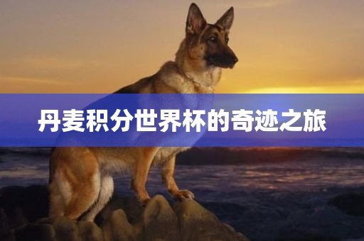 huangyuzhong 第4页