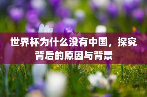 世界杯为什么没有中国，探究背后的原因与背景吉安市靖泰电力工程有限公司