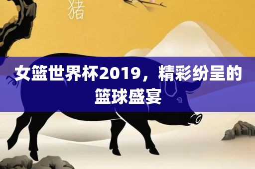 女篮世界杯2019，精彩纷呈的篮球盛宴