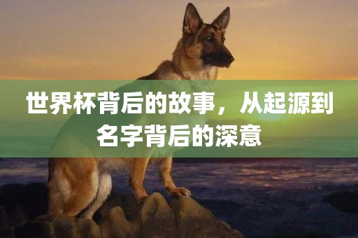 世界杯背后的故事，从起源到名字背后的深意