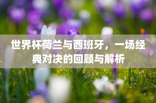 世界杯荷兰与西班牙，一场经典对决的回顾与解析吉安市靖泰电力工程有限公司