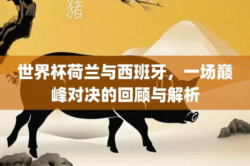 世界杯荷兰与西班牙，一场巅峰对决的回顾与解析吉安市靖泰电力工程有限公司