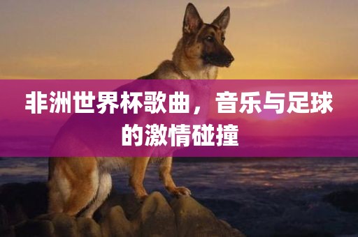 非洲世界杯歌曲，音乐与足球的激情碰撞