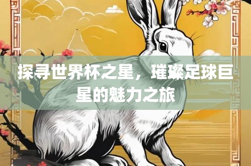 探寻世界杯之星，璀璨足球巨星的魅力之旅吉安市靖泰电力工程有限公司