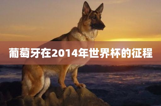 吉安市靖泰电力工程有限公司葡萄牙在2014年世界杯的征程