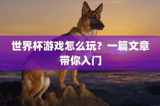 世界杯游戏