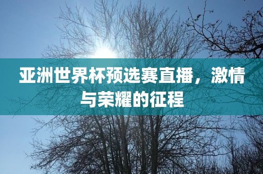 亚洲世界杯预选赛直播，激情与荣耀的征程