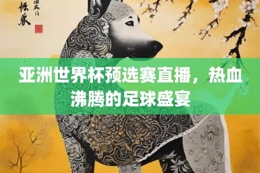 亚洲世界杯预选赛直播，热血沸腾的足球盛宴