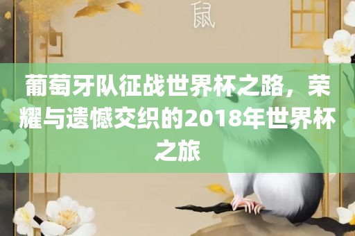 葡萄牙队征战世界杯之路，荣耀与遗憾交织的2018年世界杯之旅