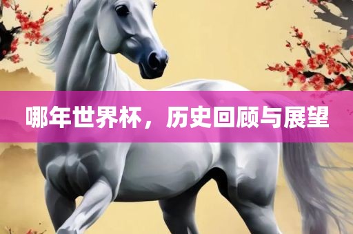 哪年世界杯，历史回顾与展望