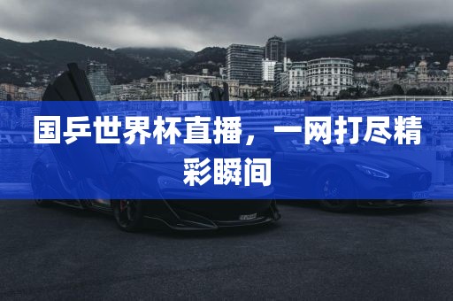 国乒世界杯直播，一网打尽精彩瞬间