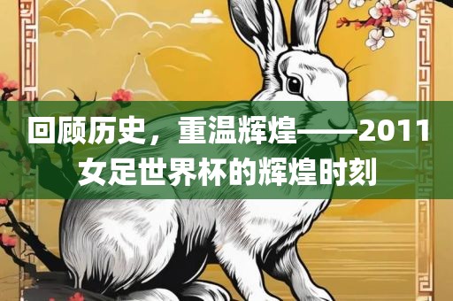 回顾历史，重温辉煌——2011女足世界杯的辉煌时刻吉安市靖泰电力工程有限公司