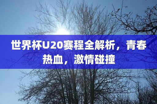 世界杯U20赛程全解析，青春热血，激情碰撞