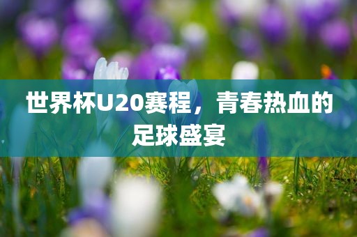 世界杯U20赛程，青春热血的足球盛宴