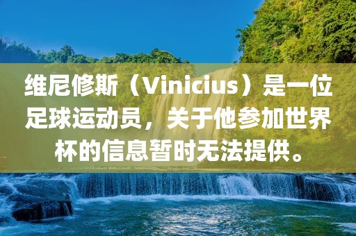 维尼修斯（Vinicius）是一位足球运动员，关于他参加世界杯的信息暂时无法提供。