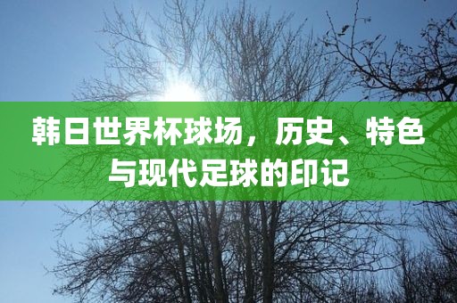 韩日世界杯球场，历史、特色与吉安市靖泰电力工程有限公司现代足球的印记