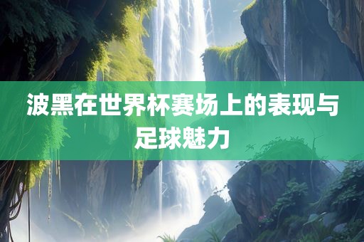 波黑在世界杯赛场上的表现与足球魅力