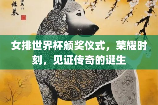 女排世界杯颁奖仪式，荣耀时刻，见证传奇的诞生