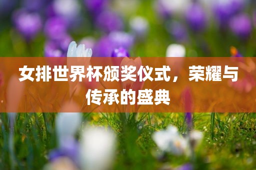女排世界杯颁奖仪式，荣耀与传承的盛典