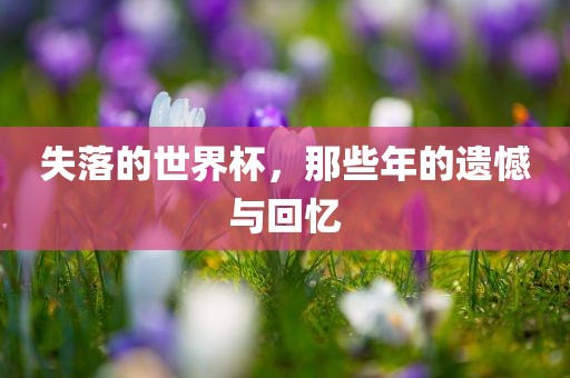 失落的世界杯，那些年的遗憾与回忆吉安市靖泰电力工程有限公司
